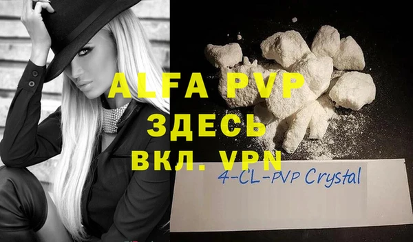 молекула духа Бородино
