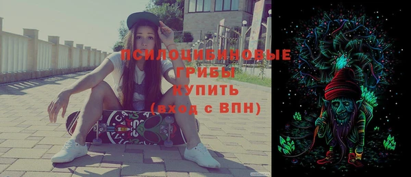 сатива Бугульма