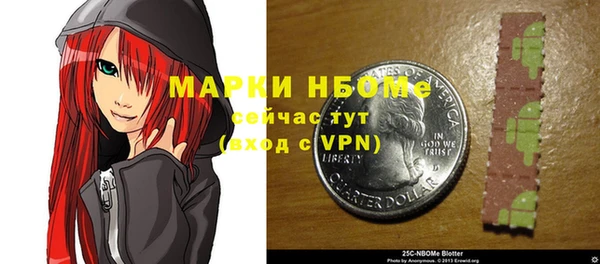 молекула духа Бородино