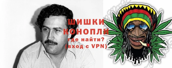 молекула духа Бородино