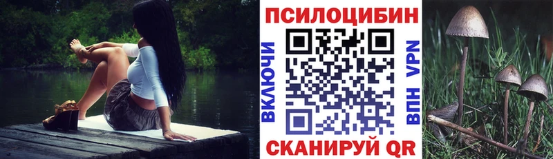 Купить  Богородицк  Галлюциногенные грибы Psilocybine cubensis 